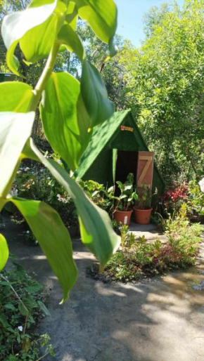 Camping D'Tente Paradise